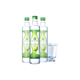 Nordic Koivu - Bio Nyírfanedv - Ipari titokkal védett! - 500 ml - Natur Tanya - 