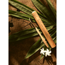 Kép 2/4 - Bio Bambusz Fogkefe Tartó - Coconutoil Cosmetics - 